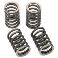 Valve Springs