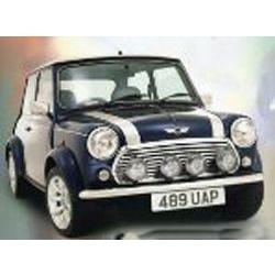 Mini Saloon 1996-2000