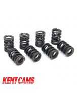 Kent Double Valve Spring Set 